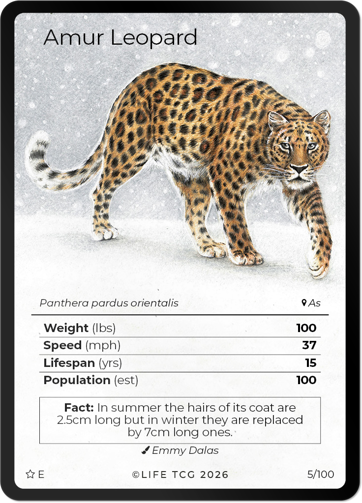 WWF Mammals Special Edition Booster Box