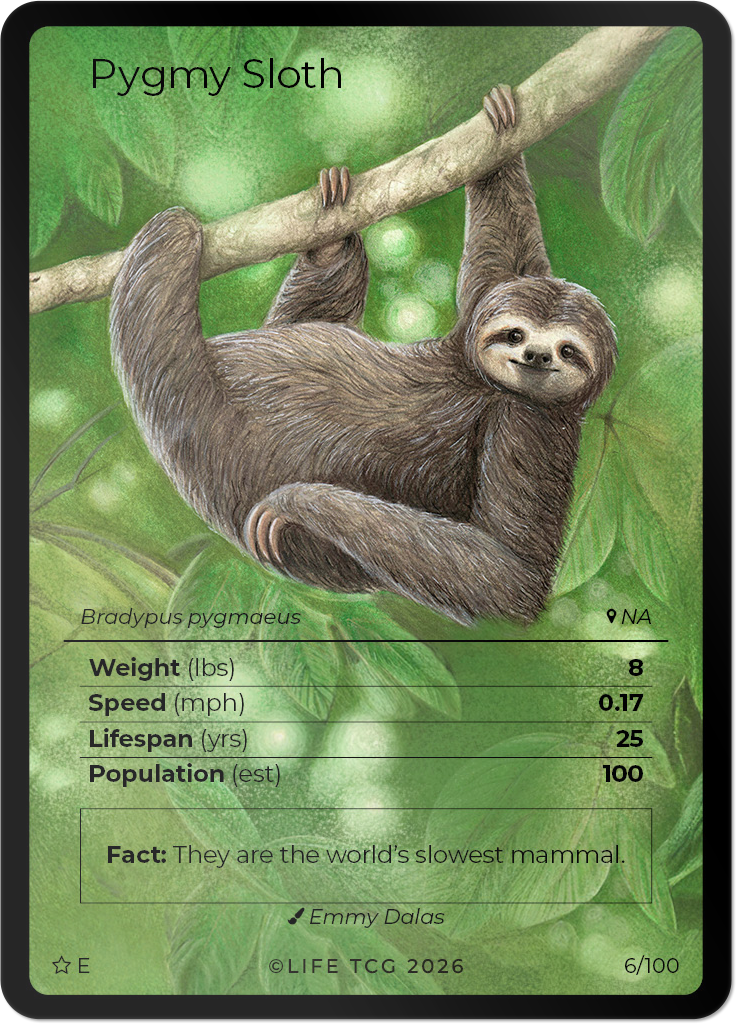 WWF Mammals Special Edition Starter Box