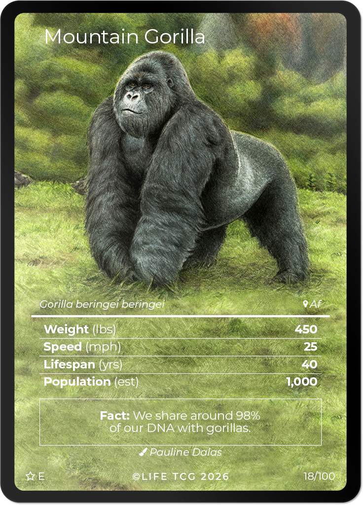 WWF Mammals Special Edition Mini Box