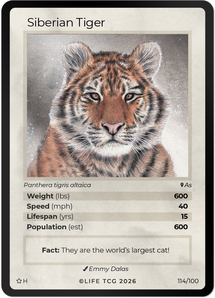 WWF Mammals Special Edition Mini Box