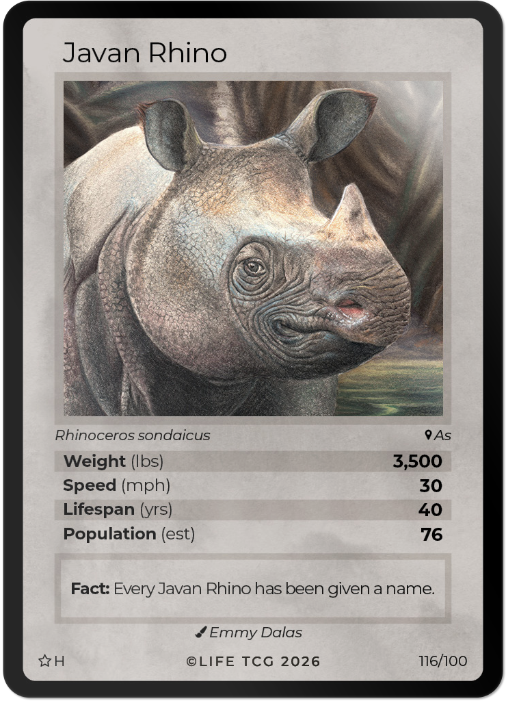 WWF Mammals Special Edition Booster Box