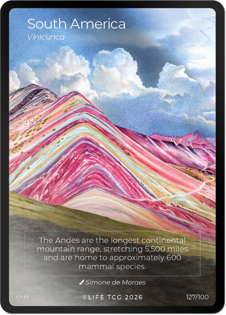 WWF Mammals Special Edition Mini Box