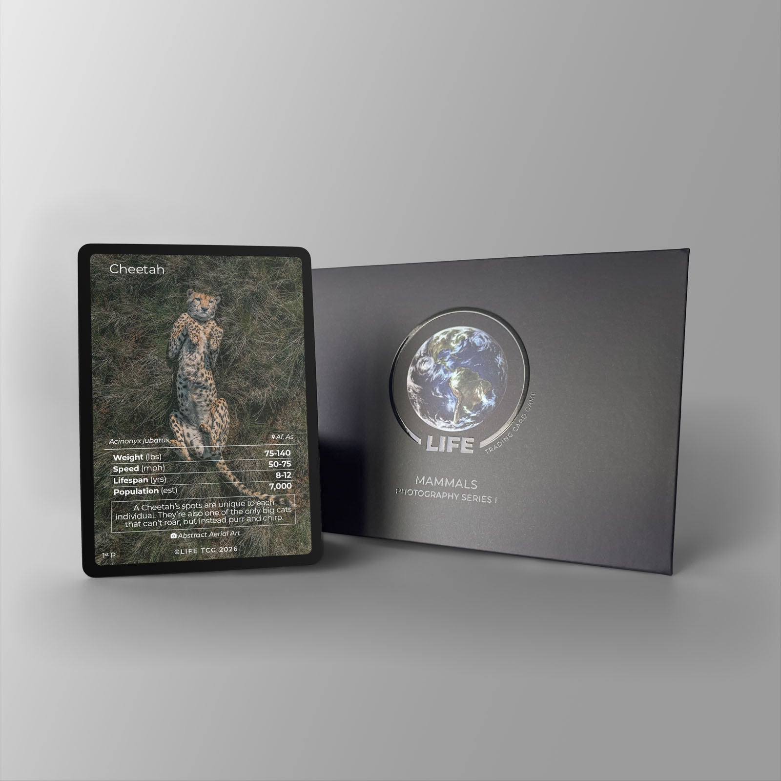 Cheetah Photography Card