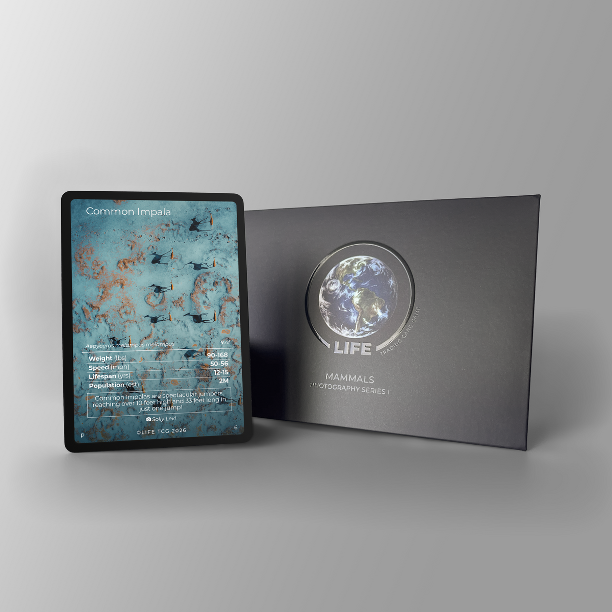 Common Impala Photography Card
