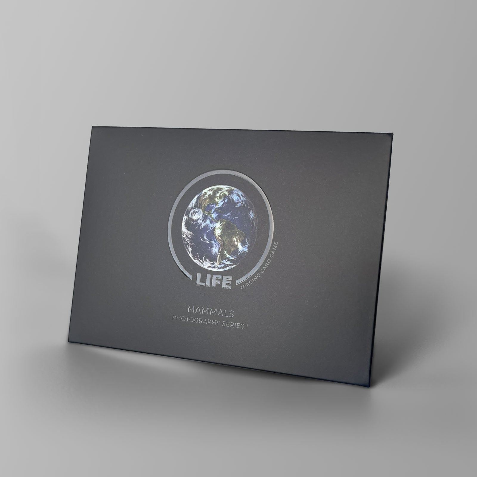 Zebra Photography Card