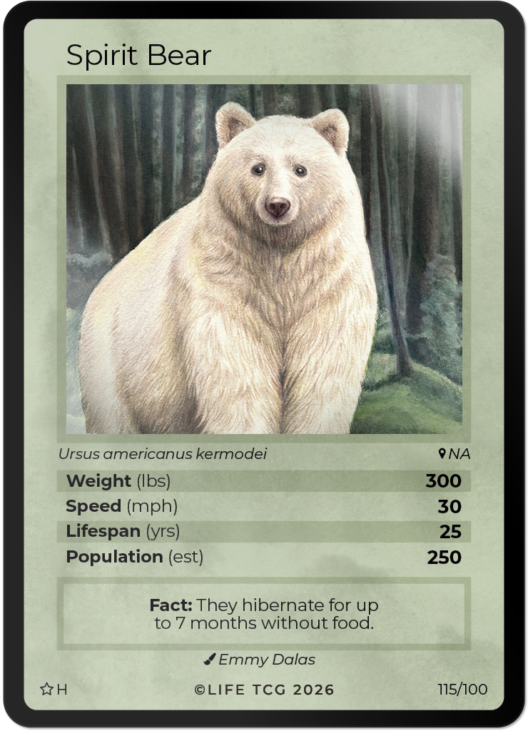 polar bear pokemon card WWF Mammals Special Edition Starter Box