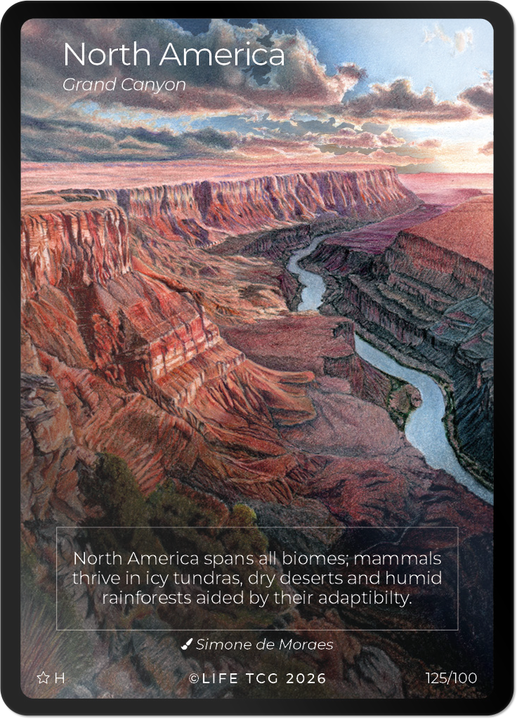 Mammals Special Edition Booster Box