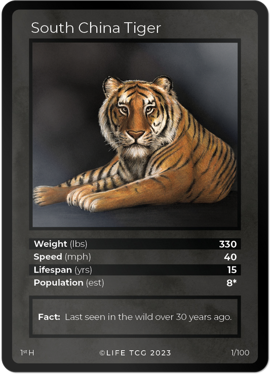 Cards 2
