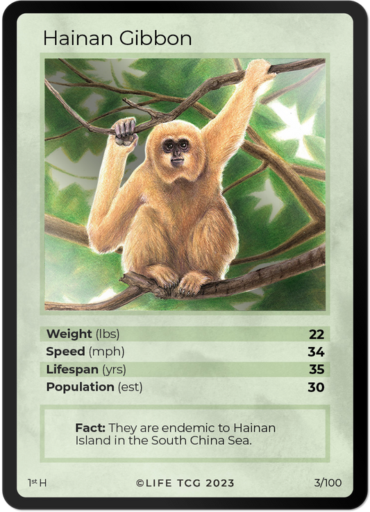 Cards 4