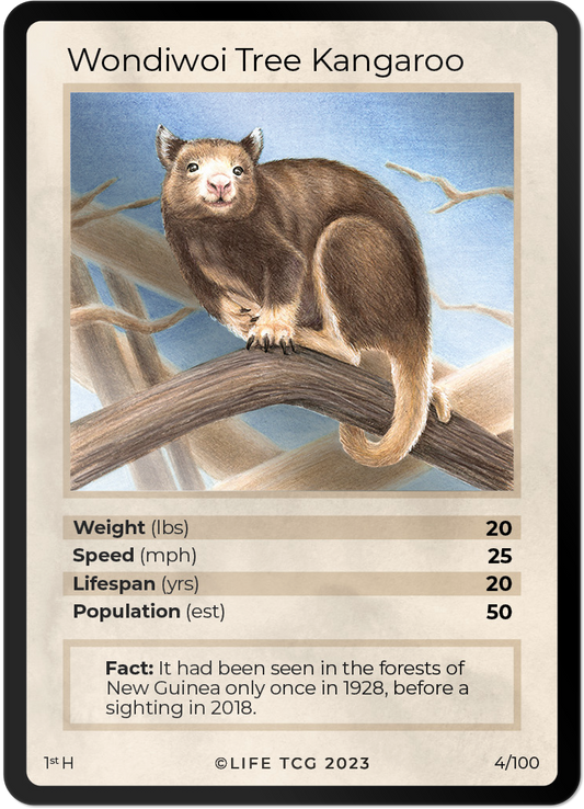 Cards 5