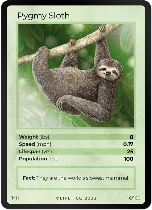 Cards 7