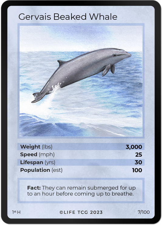 Cards 8