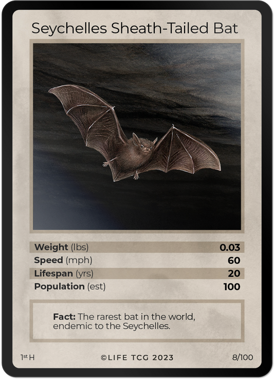 Cards 9