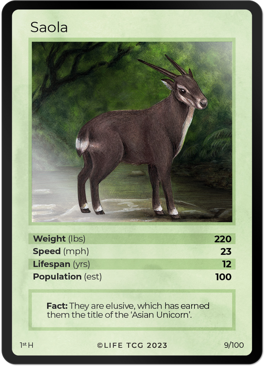 Cards 10