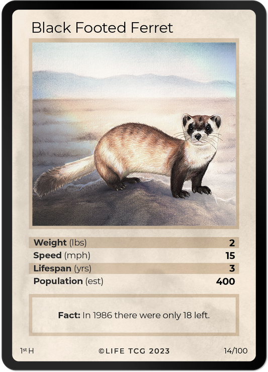 Cards 15