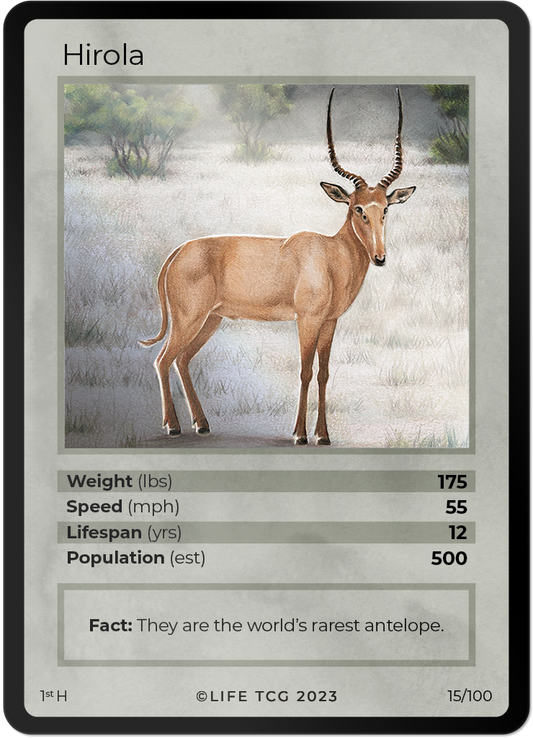 Cards 16