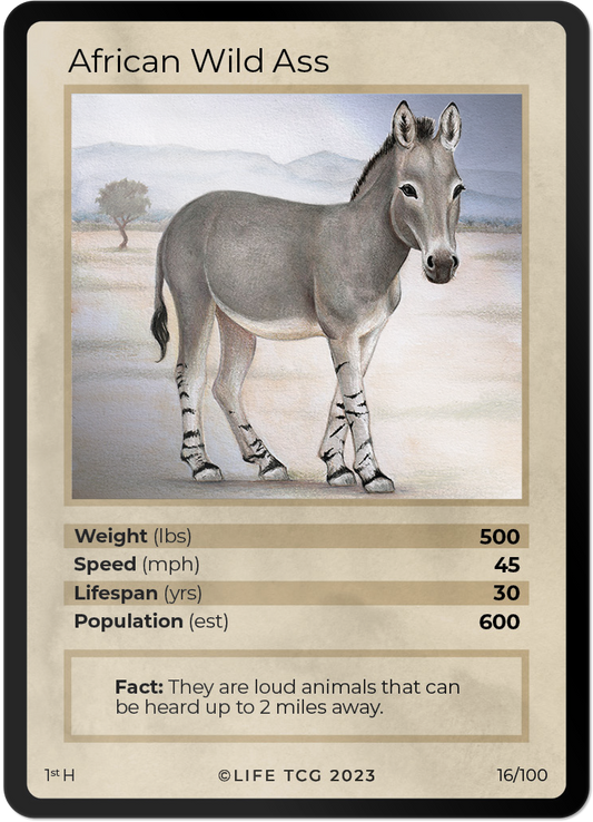 Cards 17