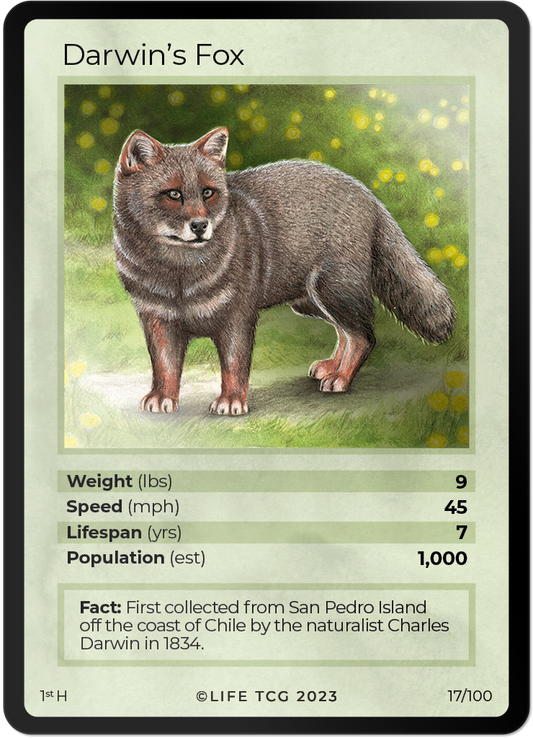 Cards 18