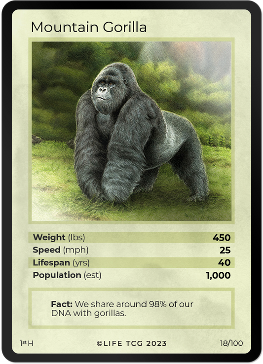 Cards 19