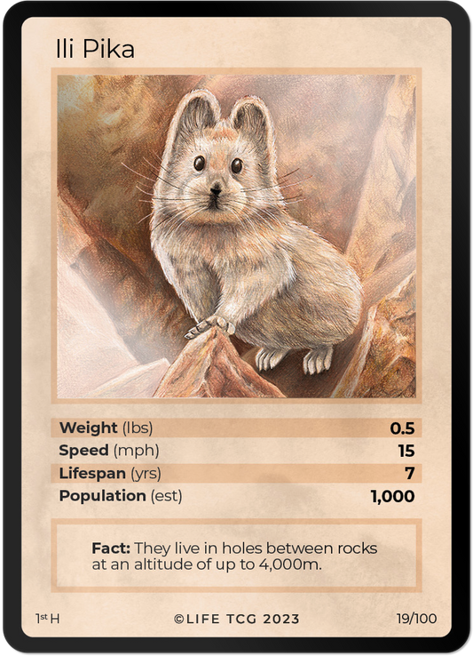 Cards 20