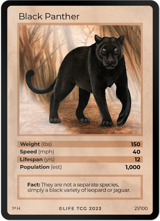 Cards 22