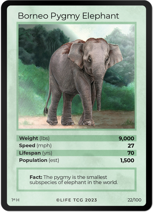 Cards 23