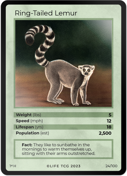 Cards 25