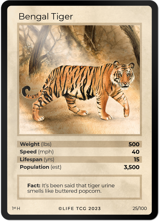 Cards 26