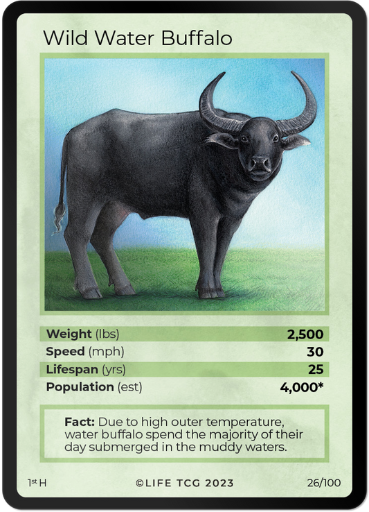 Cards 27