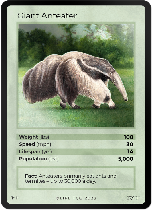 Cards 28