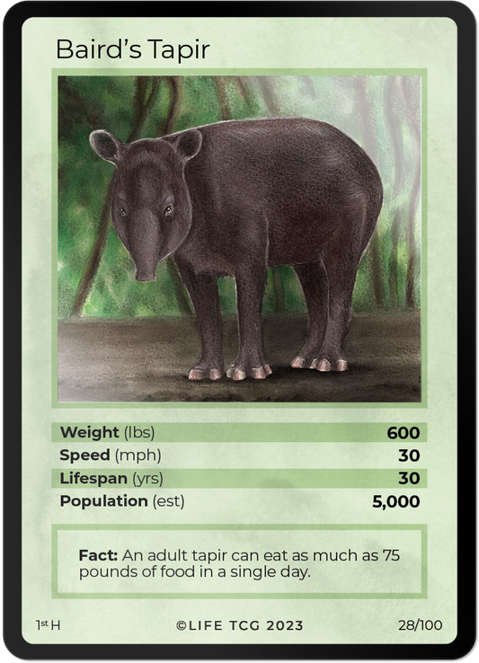Cards 29