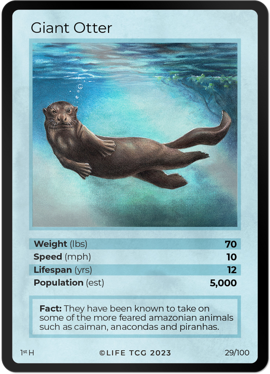 Cards 30