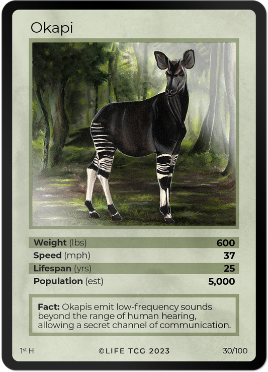 Cards 31
