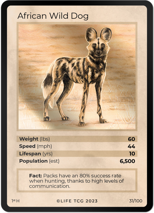 Cards 32