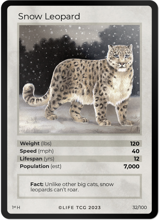 Cards 33