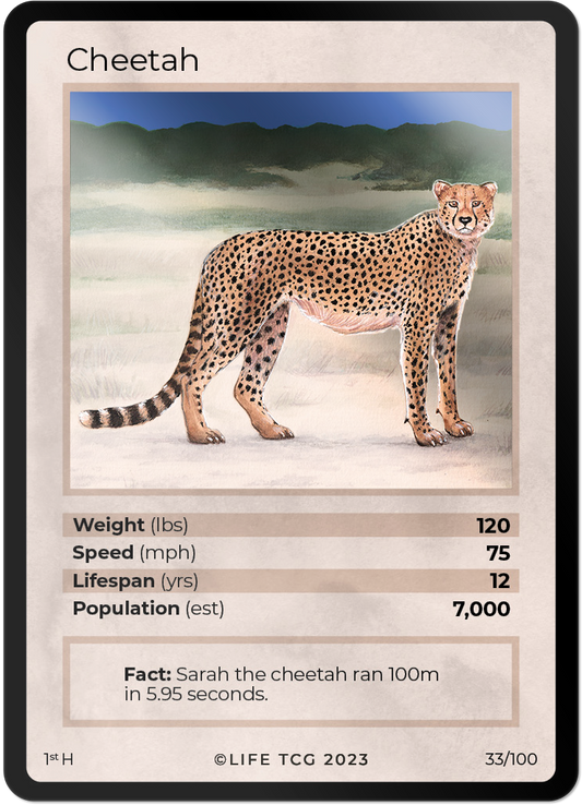 Cards 34