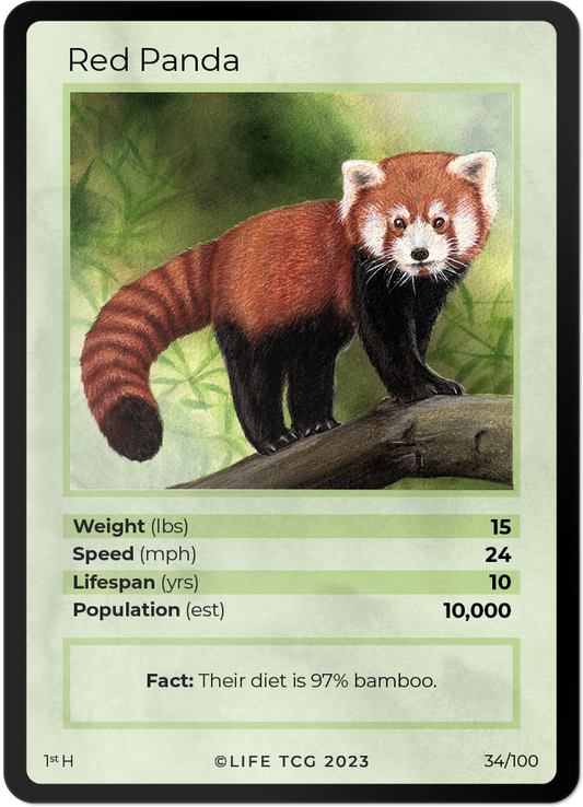 Cards 35