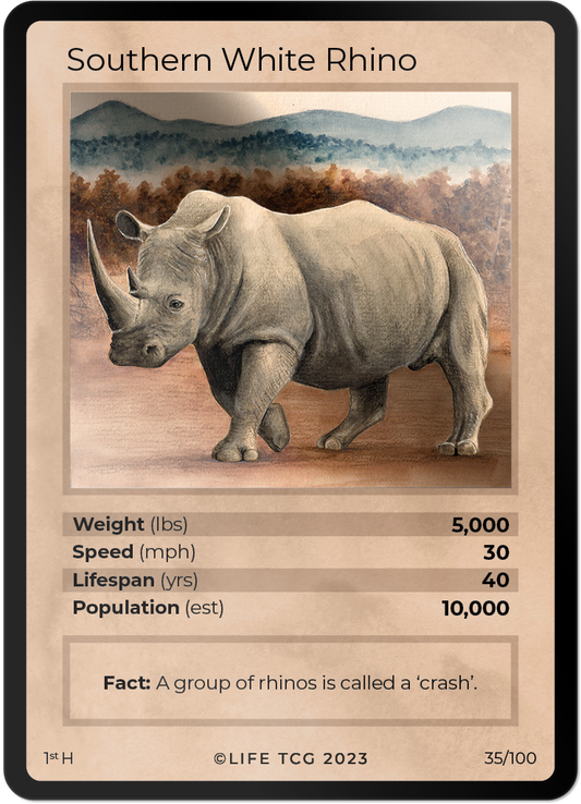 Cards 36