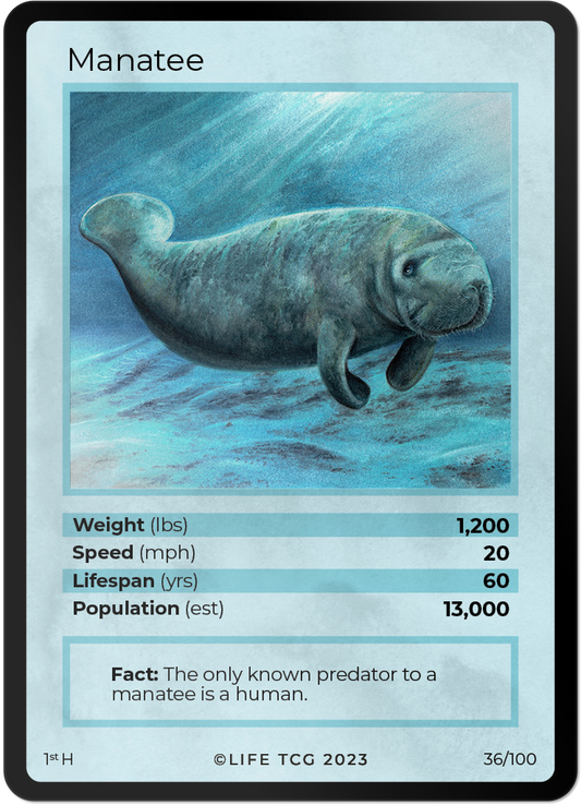 Cards 37