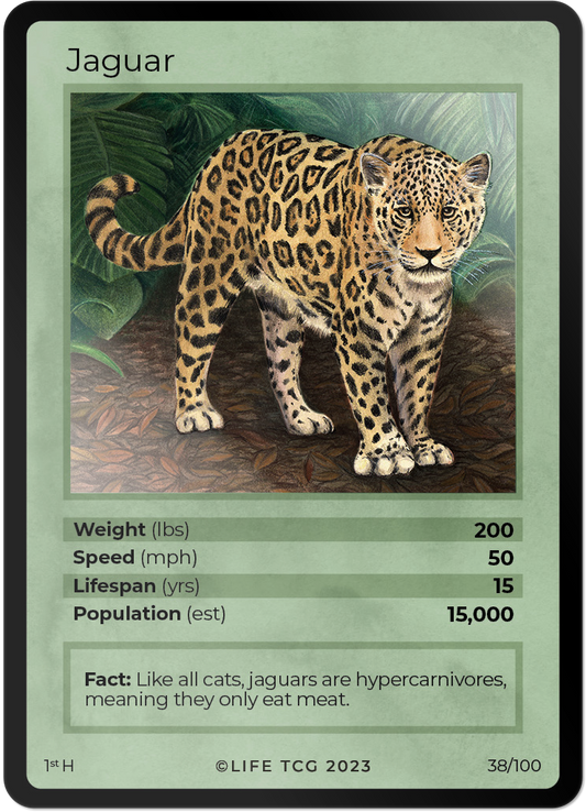 Cards 39