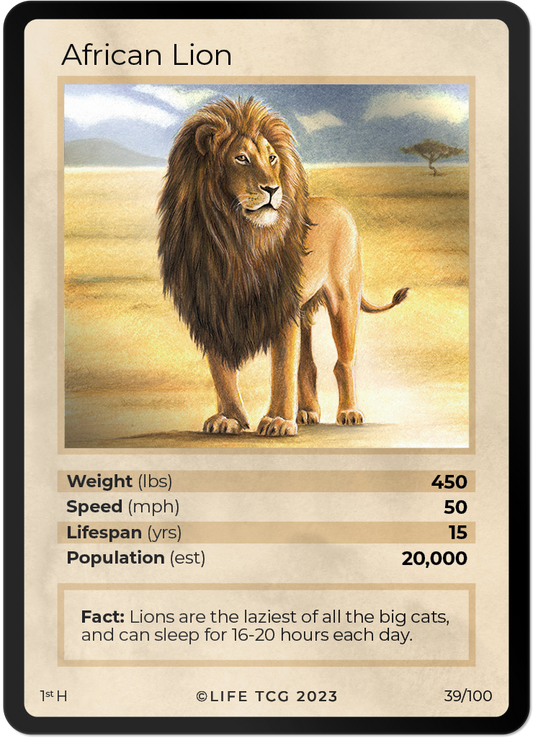 Cards 40