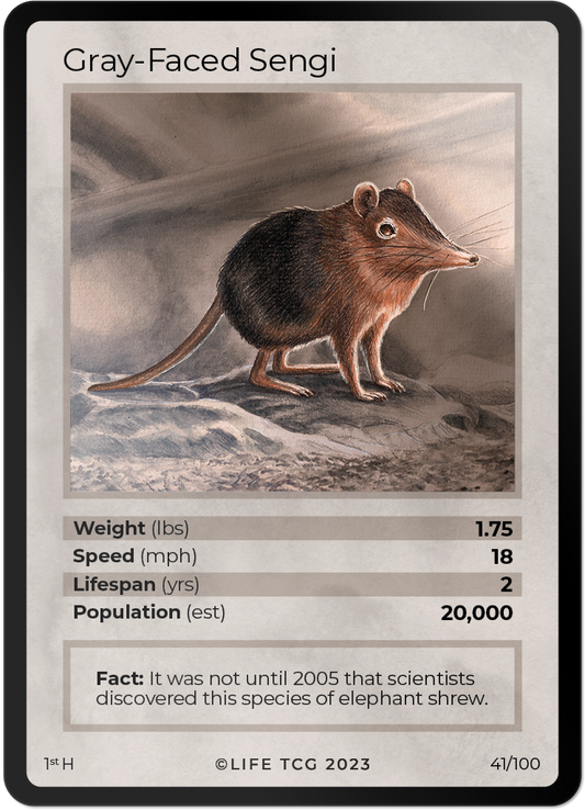 Cards 42