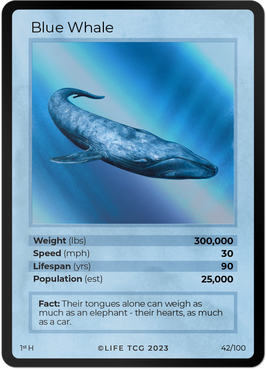 Cards 43