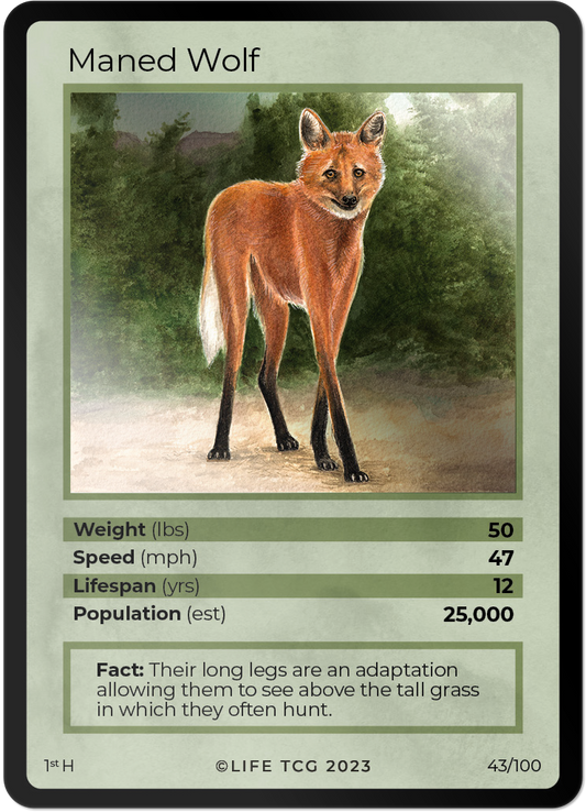Cards 44