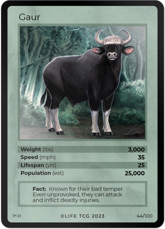 Cards 45