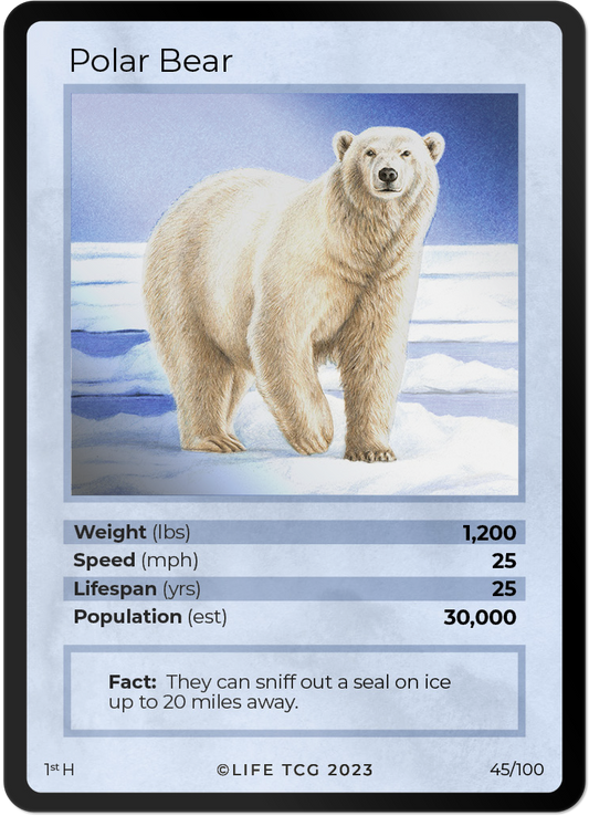 Cards 46