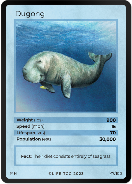 Cards 48