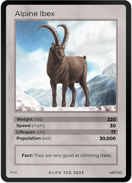 Cards 1