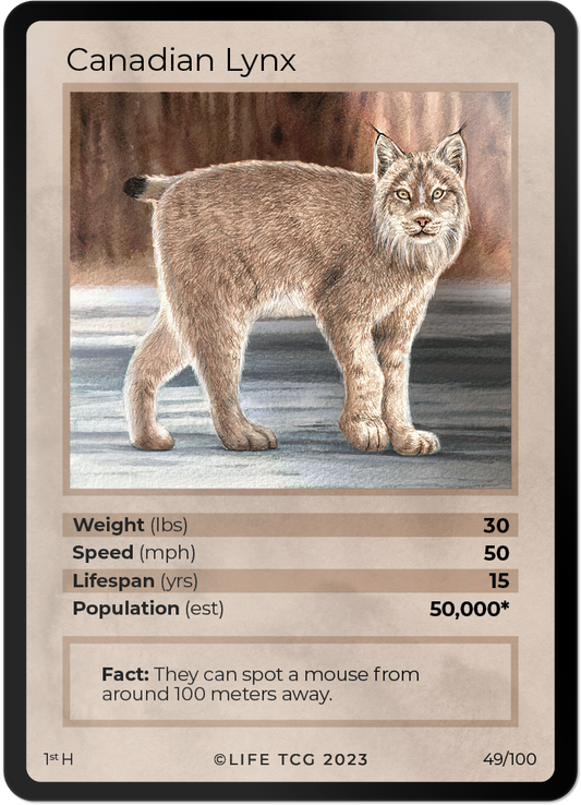 Cards 2