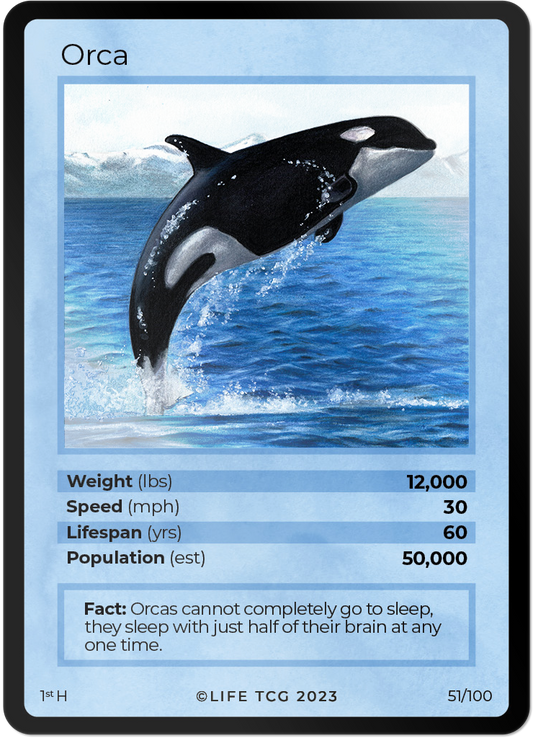 Cards 4